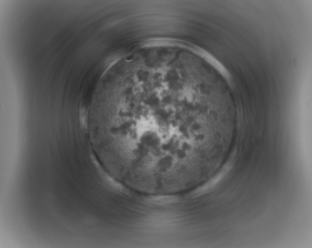 X0000113960953200910021523