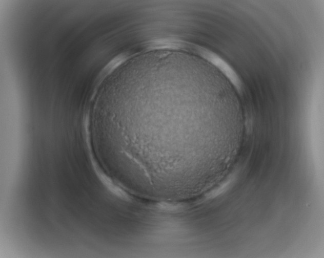 X0000113960954200910021523