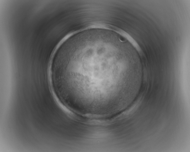 X0000113960955200910021523