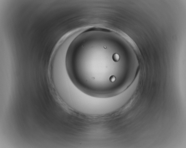 X0000113960956200910021523