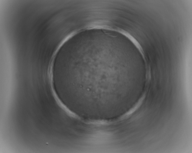 X0000113960957200910021523