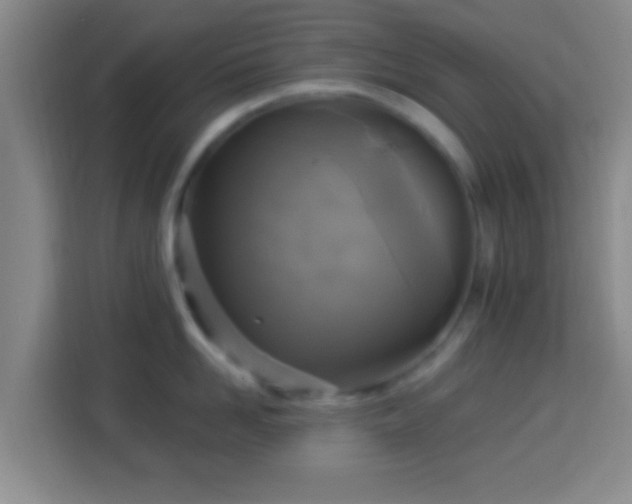 X0000113960958200910021523