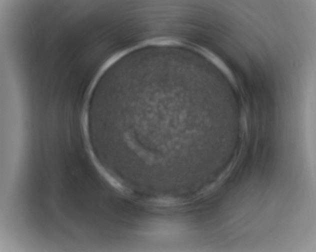 X0000113960959200910021523