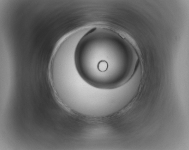 X0000113960960200910021523