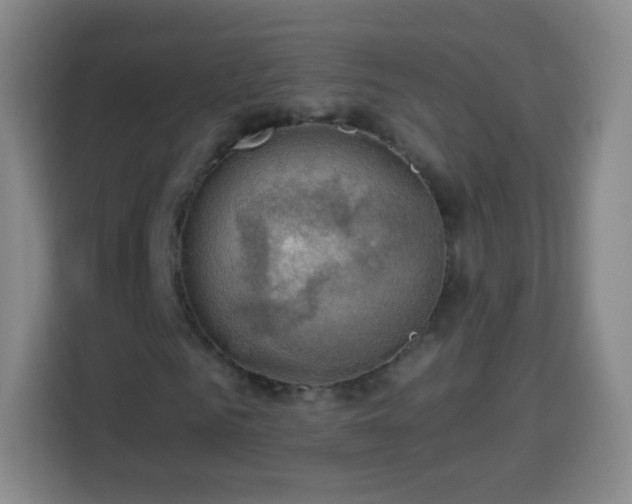 X0000113960961200910021522