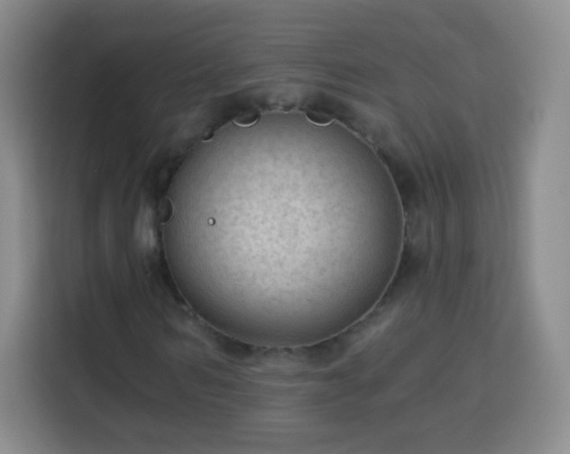 X0000113960962200910021522