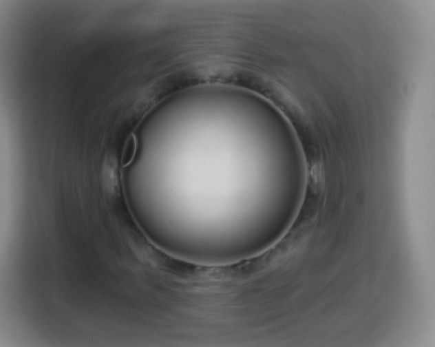 X0000113960963200910021522