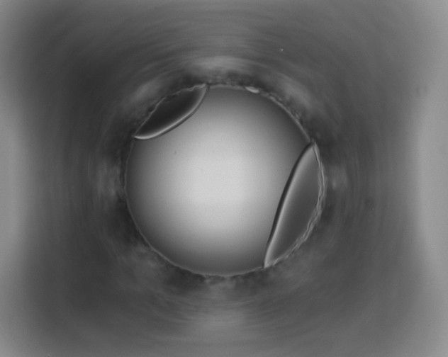 X0000113960965200910021522