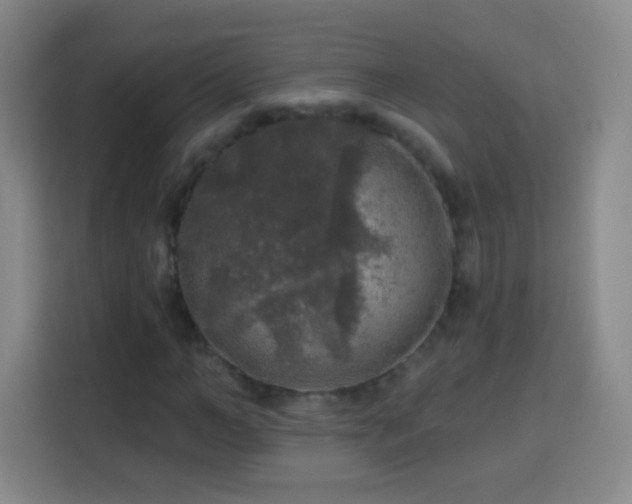 X0000113960966200910021522