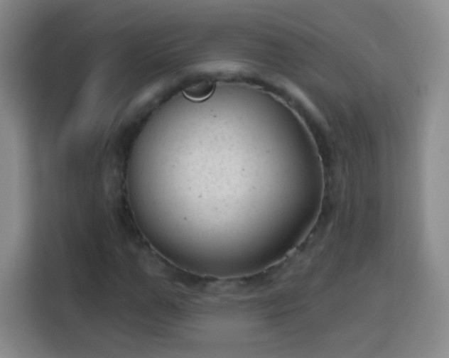 X0000113960967200910021522