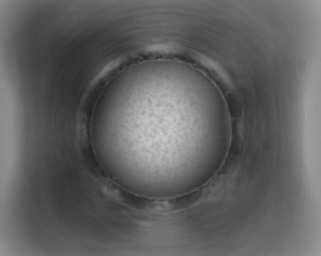 X0000113960968200910021522