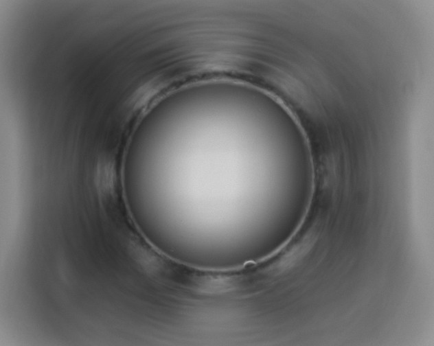 X0000113960969200910021522