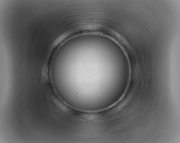 X0000113960970200910021522