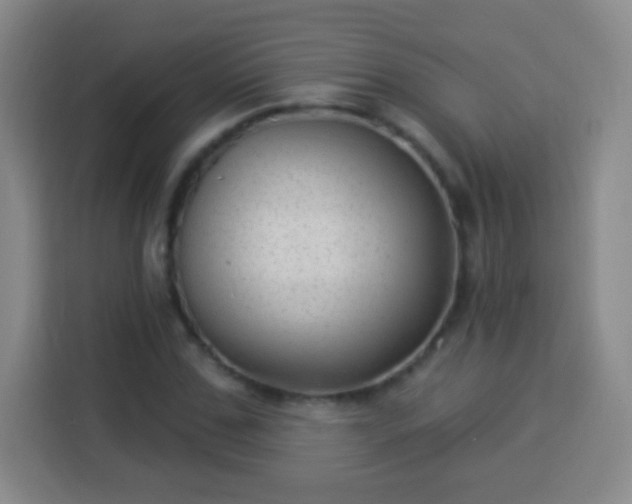 X0000113960971200910021522