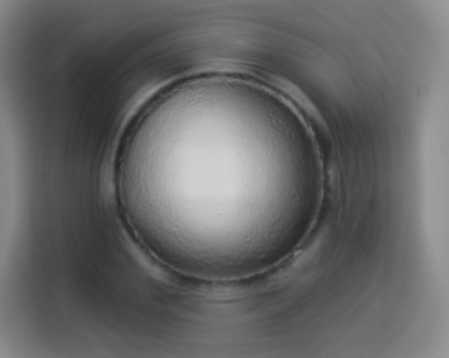 X0000113960972200910021522