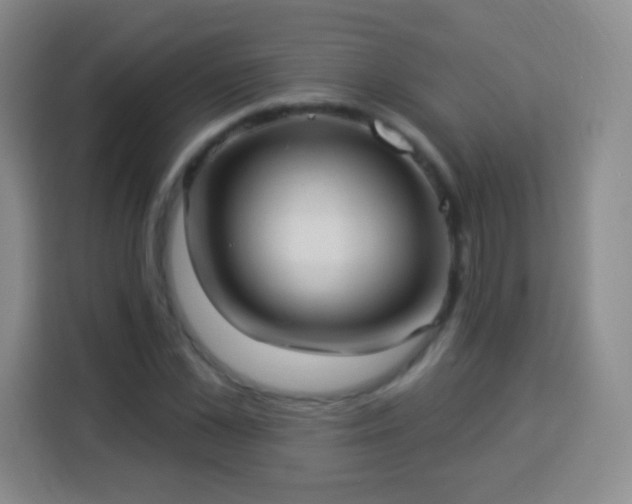 X0000113960973200910021522