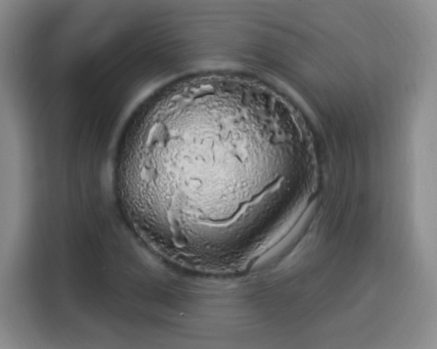 X0000113960975200910021522