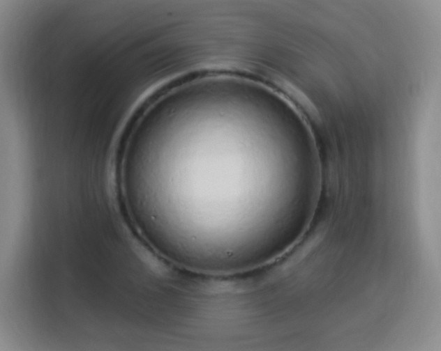 X0000113960976200910021522