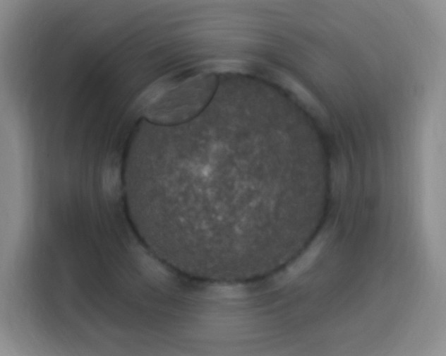 X0000113960977200910021522