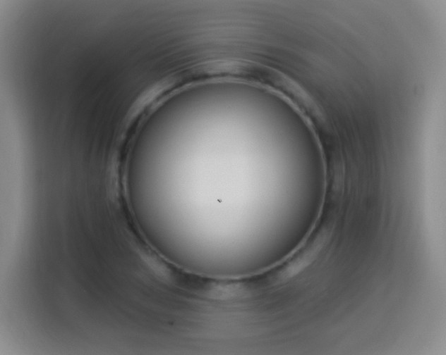 X0000113960978200910021522