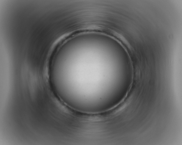 X0000113960979200910021522