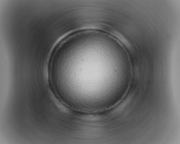 X0000113960980200910021522