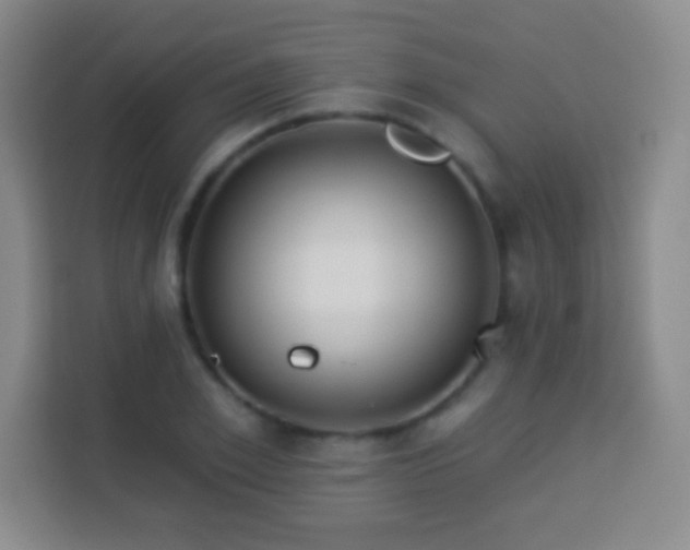 X0000113960981200910021522