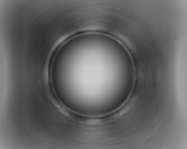 X0000113960982200910021522