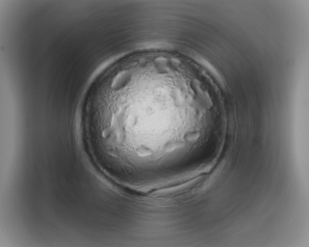 X0000113960983200910021522