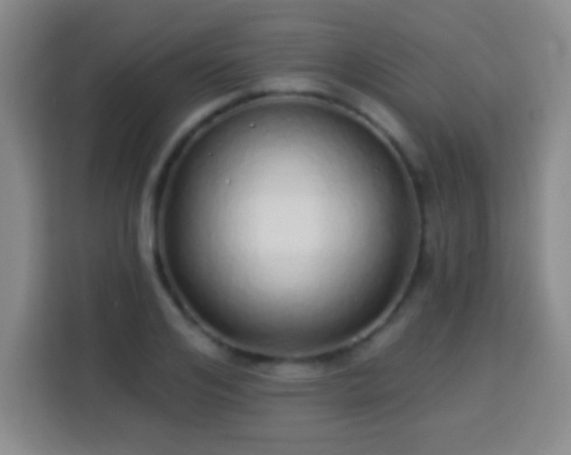 X0000113960984200910021522