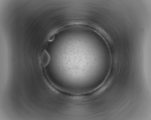 X0000113960985200910021522