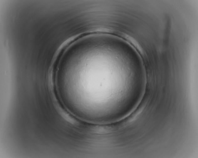 X0000113960987200910021522