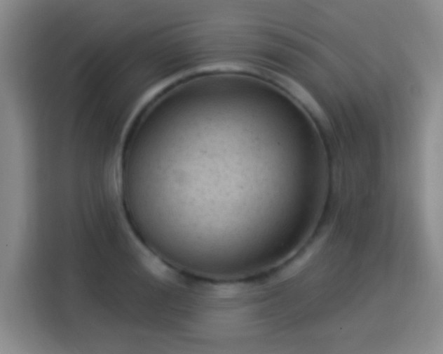 X0000113960988200910021522