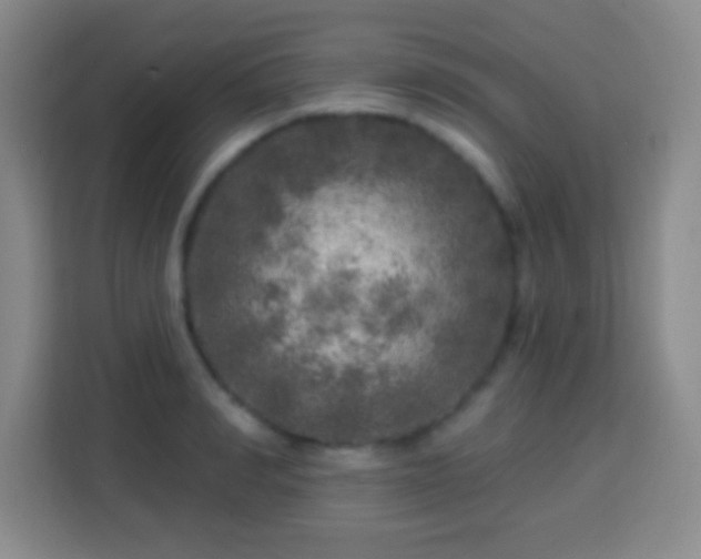 X0000113960990200910021522