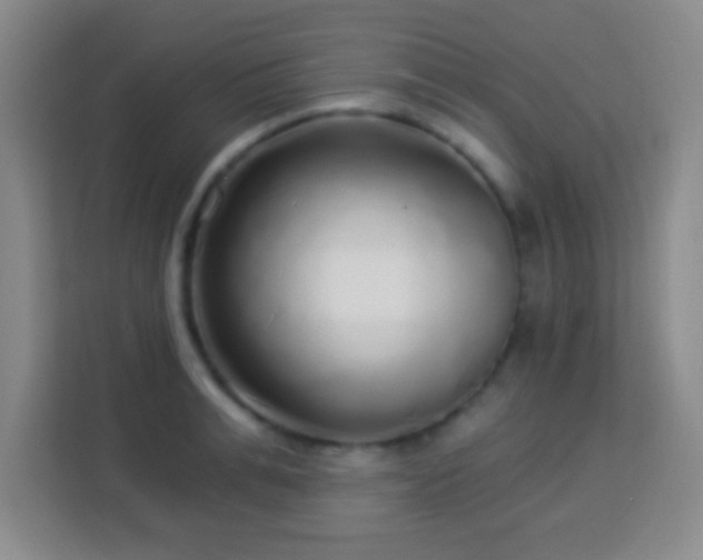 X0000113960991200910021522