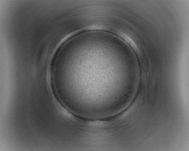 X0000113960992200910021522