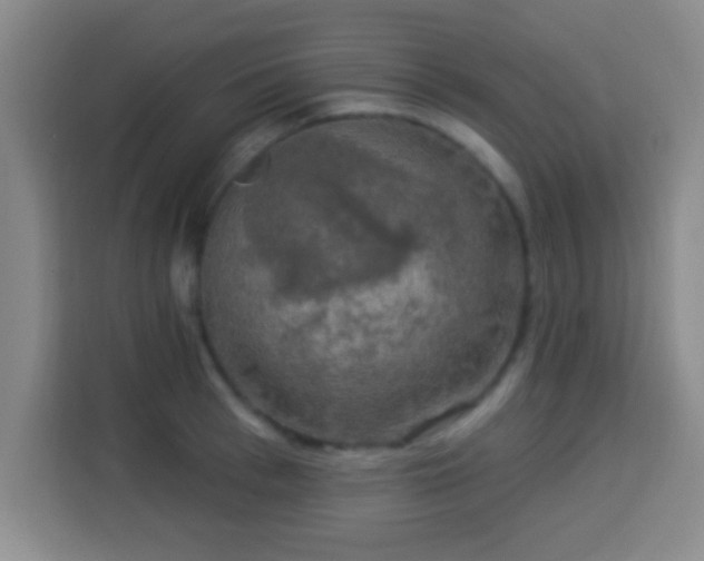 X0000113960993200910021522