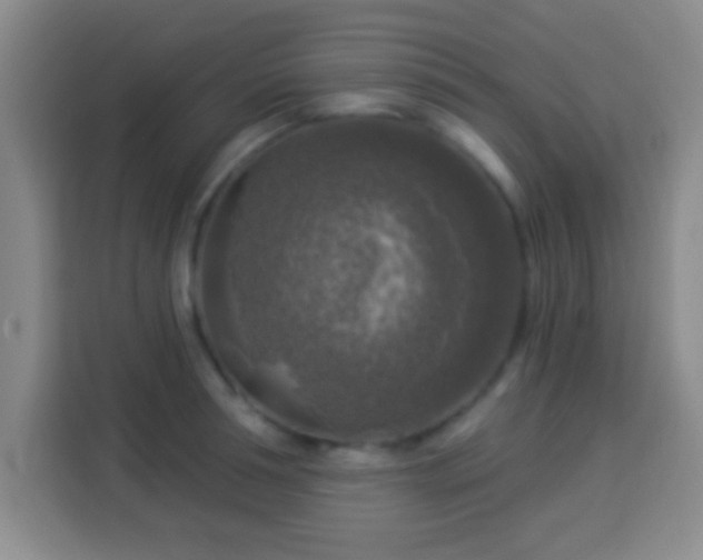 X0000113960994200910021522