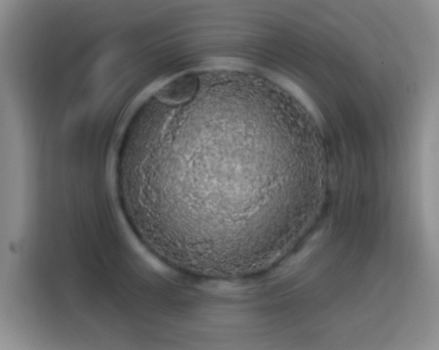 X0000113960995200910021522