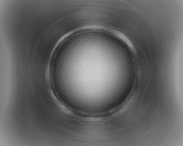 X0000113960996200910021522