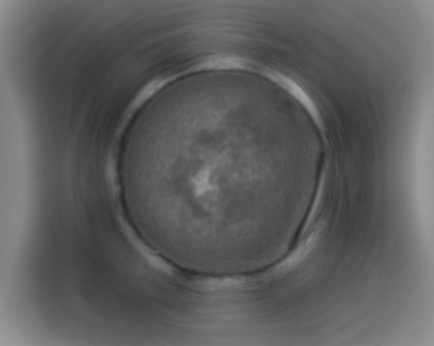 X0000113960997200910021522