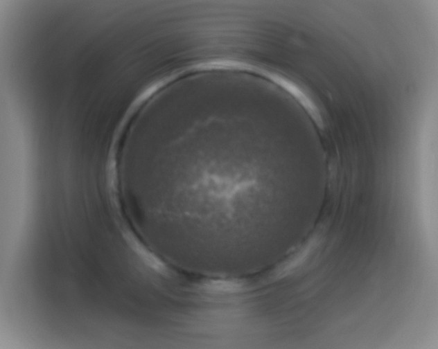 X0000113960998200910021522