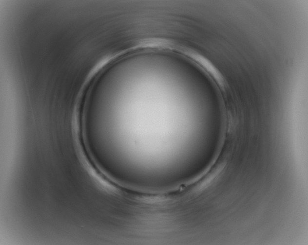 X0000113960999200910021522