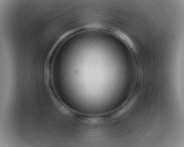 X0000113961000200910021522