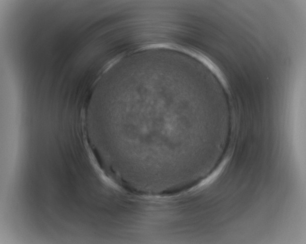 X0000113961001200910021522