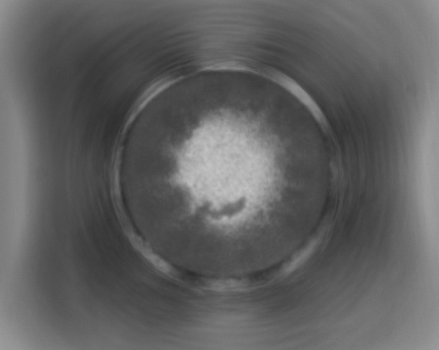 X0000113961002200910021522