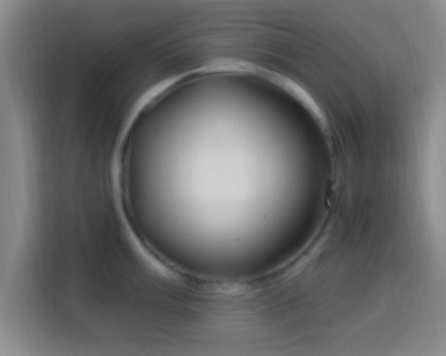 X0000113961003200910021522