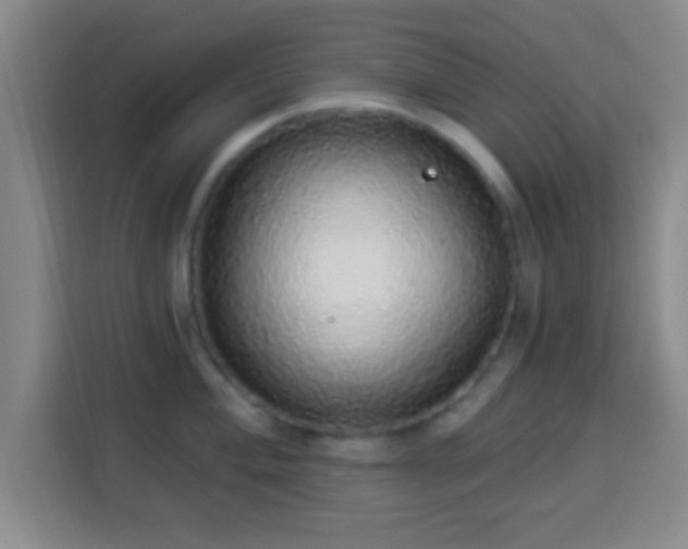 X0000113961004200910021522