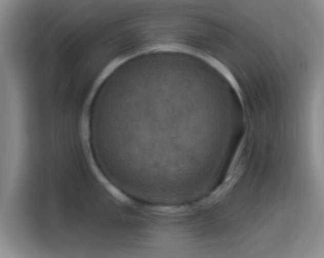 X0000113961005200910021522