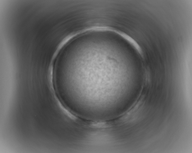 X0000113961006200910021522